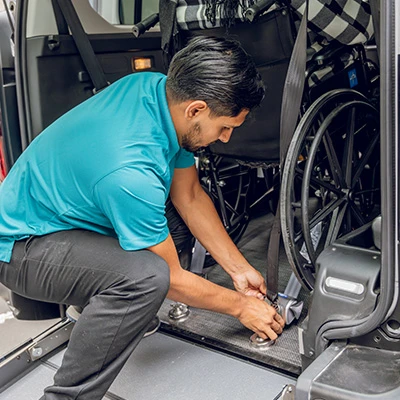 galeria-website-loop-02