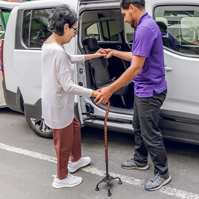 galeria-website-loop-06